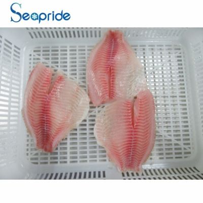 Frozen tilapia fillet fish