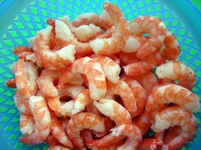 Shrimp (CPD)