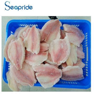Frozen tilapia fish fillet
